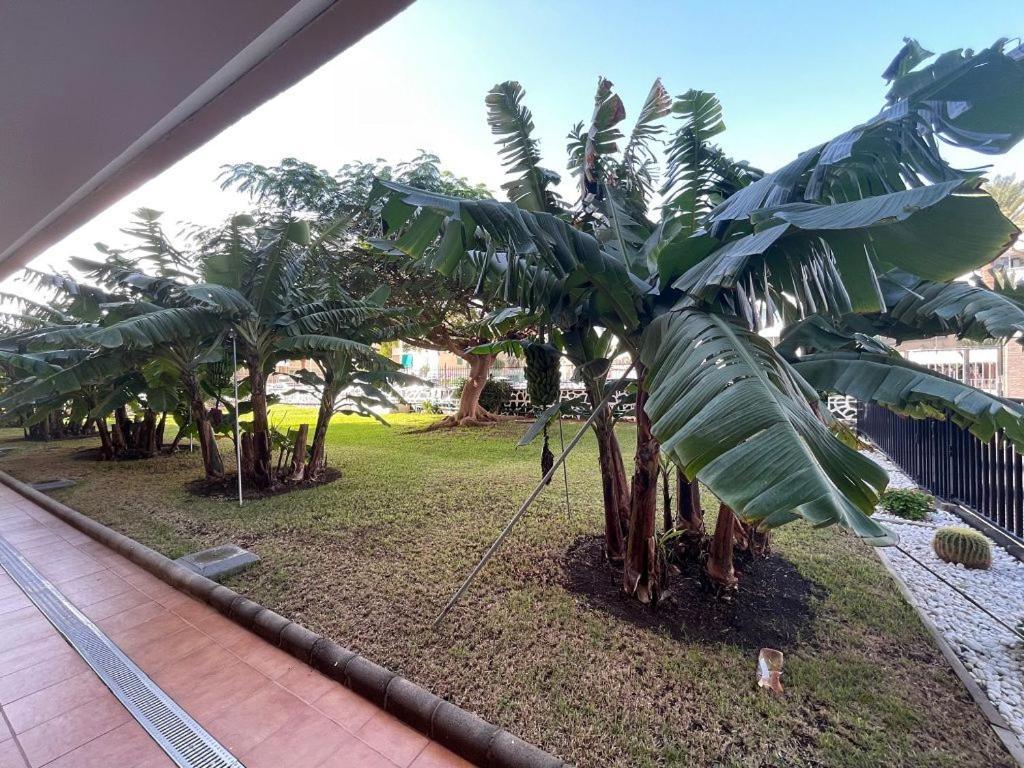Appartement Seaview Cactus Playa del Inglés